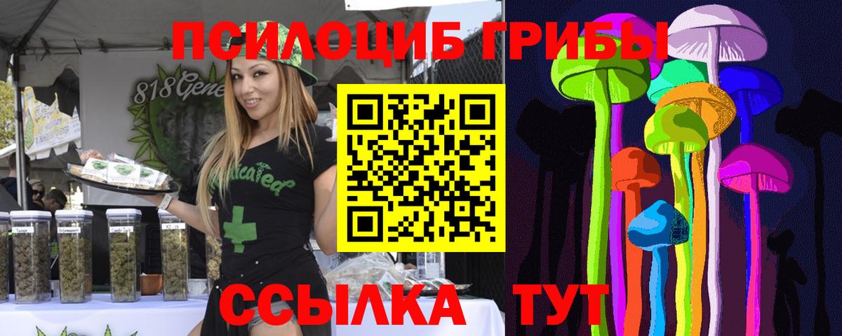 Псилоцибиновые грибы MAGIC MUSHROOMS Дедовск
