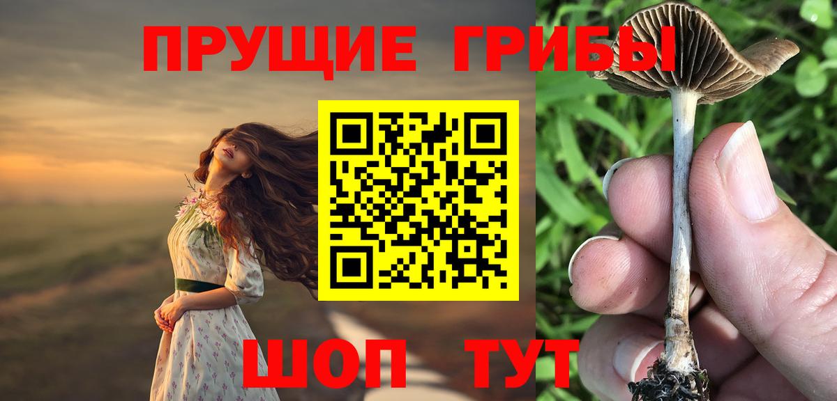 Псилоцибиновые грибы MAGIC MUSHROOMS  купить  сайты  Дедовск  Вход с VPN 